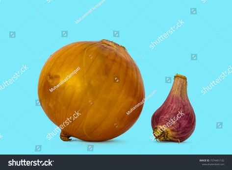 Natural fresh onion and shallot. In Indonesia called bawang bombay dan bawang merah. This is usually for seasoning, on blue background #Ad , #Aff, #shallot#Indonesia#called#Natural Bawang Bombay, Ambrosia Salad, Shallots, Blue Background, Blue Backgrounds, Royalty Free Stock Photos, Stock Images, Indonesia, Salad