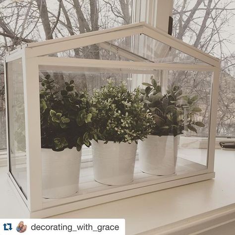 Bring the outside in by creating a solarium with the #IKEA SOCKER greenhouse, perfect for any spot in your home that needs a little touch of spring! Thanks for sharing @decorating_with_grace! #IKEAUSA Ikea Socker, Black Metal Roof, Greenhouses For Sale, Ikea Usa, Indoor Greenhouse, Small Greenhouse, Mini Greenhouse, Metal Roof, Glass House