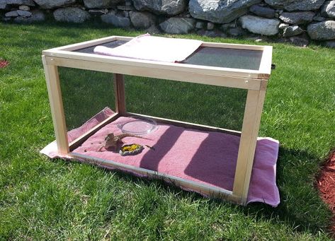 outdoor reptile enclosure - Google Search Breaded Dragon, Lizard Cage, Bearded Dragon Diy, Diy Reptile, Bearded Dragon Enclosure, Bearded Dragon Cage, Bearded Dragon Habitat, Bearded Dragon Diet, Baby Bearded Dragon