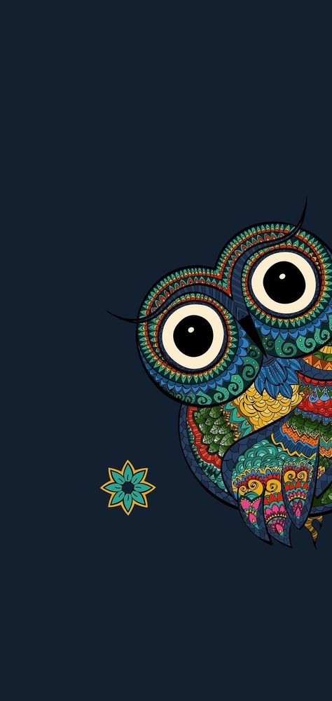 Cute Owl Wallpaper Phone Wallpapers, Owl Wallpaper Iphone, Owls Wallpaper, Wallpaper Graphic, Cute Owls Wallpaper, Cute Owls, Owl Artwork, Beast Wallpaper, Mandala Wallpaper