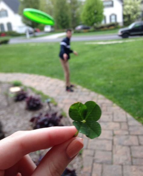 One Year Ago a Girlfriend Found A 4 Leaf Clover Dancing On The Edge, Hilarious Photos, Perfectly Timed Photos, Calm Before The Storm, Something To Remember, Memes Br, Perfect Timing, The Hard Way, Funny Fails