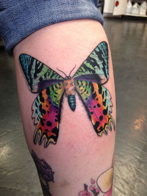 My calf, a sunset moth by Jacqueline PavAn of Soma Tiger Tattoo in Toronto #butterflytattoos Madagascar Moth Tattoo, Watercolor Moth Tattoo, Madagascar Sunset Moth Tattoo, Sunset Moth Tattoo, Bugs Tattoo, Watercolor Bugs, Vintage Clock Tattoos, Tattoo Calf, Moth Tattoos