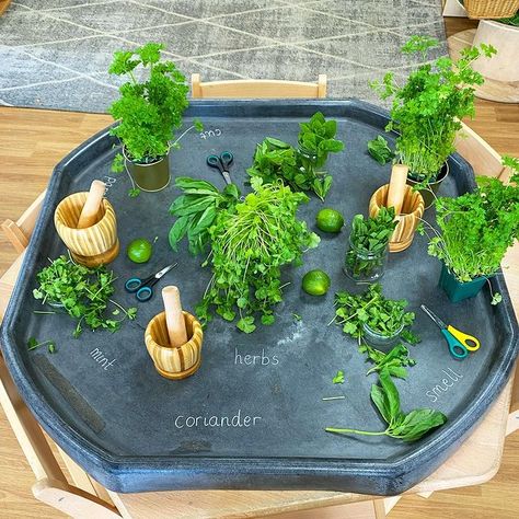 Tuff Tray Ideas Toddlers, Curiosity Approach, Garden Unit, Eyfs Classroom, Reggio Classroom, Garden Activities, Eyfs Activities, Nursery Activities, Nature School