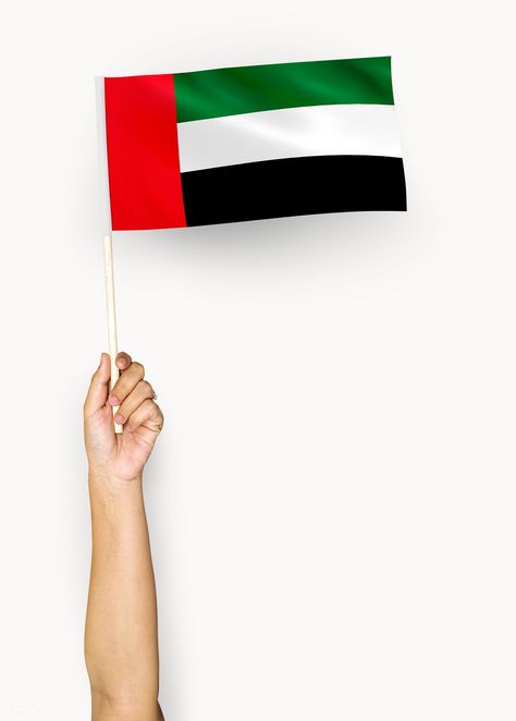 Hand showing flag of United Arab Emirates | free image by rawpixel.com Dubai Flag, Emirates Flag, Uae Flag, Arabic Tattoo Quotes, Hand Images, Arabic Tattoo, Flags Of The World, National Day, Hd Picture