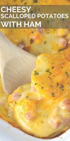 Cheesy Scalloped Potatoes And Ham, Scalloped Potatoes And Ham Recipe, Scalloped Potatoes With Ham, Potatoes With Ham, Easy Cheesy Scalloped Potatoes, Cheese Scalloped Potatoes, Scalloped Potatoes Crockpot, Cheesy Scalloped Potatoes Recipe, Potatoes And Ham