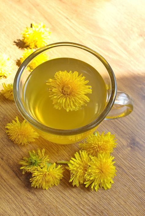 MamasLatinas.com : Dandelion tea might not taste great. : 20 Natural weight loss teas that will help you drop the pounds -- But apparently just a cup a day can help burn fat cells. Impressive, right? Dandelion Tea Benefits, Fennel Tea, Yerba Mate Tea, Dandelion Tea, Natural Diuretic, Hot Spices, Mate Tea, Cinnamon Tea, Jasmine Green Tea