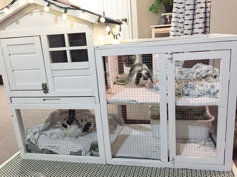 White diy split level bunny rabbit hutch for indoor housing and small spaces. Plenty of room to lay out, and hours of roaming time each. Diy Bunny Hutch, Diy Bunny Cage, Indoor Rabbit House, Diy Rabbit Cage, Rabbit Hutch Indoor, Indoor Rabbit Cage, Diy Rabbit Hutch, Running Room, Rabbit Enclosure