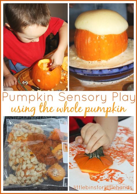 whole pumpkin sensory play early learning fall activities Pumpkin Science Activities, Pumpkin Sensory, Kindergarten Pumpkin, Pumpkin Slime, Autumnal Art, Inside Of A Pumpkin, Slime Experiment, Pumpkin Science, Pumpkin Unit