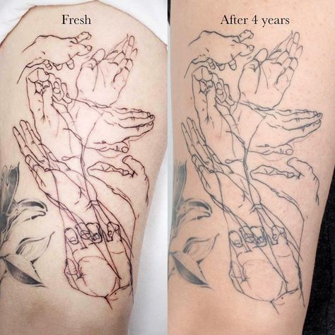 Fresh & Helaed 4 years ✨ . . . #healedtattoo #latattoo #linedrawing #sketchtattoo #lineworktattoo #losangelestattoo #californiatattoo… | Instagram Back Tattoo Fine Line, Healed Fine Line Tattoo, Los Angeles Tattoo, California Tattoo, Unique Small Tattoo, Upper Back Tattoos, La Tattoo, Fine Line Tattoo, Tasteful Tattoos