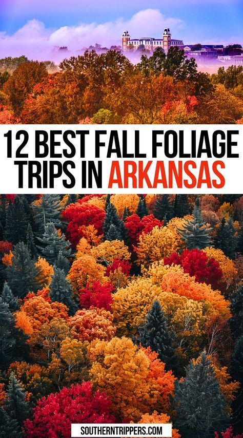 12 Best Fall Foliage Trips in Arkansas | Epic Places To See Fall Colors in Arkansas | Best Fall Destinations in Arkansas | Best Fall Trips in Arkansas | fall in arkansas | arkansas fall foliage road trip | arkansas fall | arkansas in the fall | things to do in arkansas in the fall | arkansas fall foliage | arkansas fall travel | arkansas fall hiking | arkansas fall vacation | arkansas fall vacation | arkansas travel | autumn in arkansas | fall bucket list #fall #fallfoliage #autumn #arkansas Arkansas Fall Foliage Road Trip, Fall Arkansas, Hiking Arkansas, Things To Do In Arkansas, Friends Roadtrip, Fall Foliage Trips, Fall Destinations, Arkansas Road Trip, Arkansas Vacations