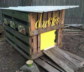 37 Free DIY Duck House / Coop Plans & Ideas that You Can Easily Build Duck House Plans, Duck Pens, Backyard Ducks, Duck Coop, Raising Ducks, Pet Ducks, Duck House, Bird House Kits, Coop Plans