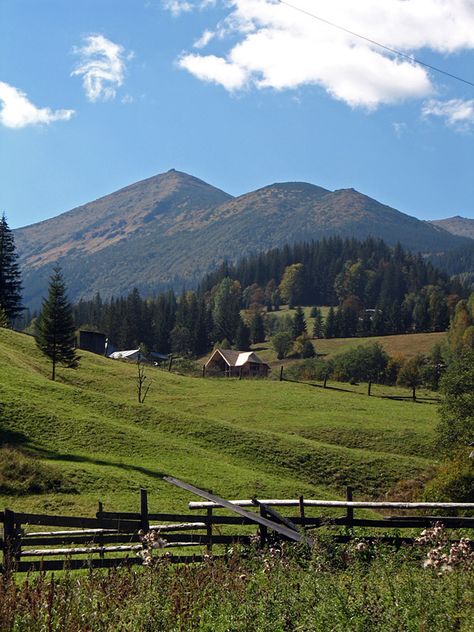 Carpathian mountings , Ukraine, from Iryna Ukraine Scenery, Karpaty Ukraine, Ukraine Landscape, Ukraine Beauty, Carpathian Mountains Ukraine, Ukraine Nature, Ukraine Country, Carpathian Mountains, Green Field