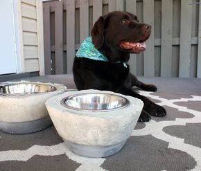 I wanted to make a DIY dog bowl stand, without any power tools, so I came up with these concrete dog bowl holders! Watch the full tutorial. Dog Bowls Diy, Diy Dog Bowl Stand, Diy Dog Bowl, Bowl Holders, Dog Bowl Holder, Dogs Diy Projects, Raised Dog Bowls, Dog Yard, Bowl Holder