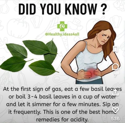 Home Remedies For Acidity, Basil Smash, Sick Remedies, Food Health Benefits, Cup Of Water, Home Health Remedies, Herbs For Health, Natural Health Tips, Basil Leaves