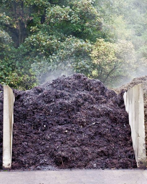 Can Compost Get Too Hot - Hazards Associated With Hot Compost Bins Hot Compost, Composting Worms, Composting Ideas, Helping Nature, Compost Bins, Gardening Vegetables, Improve Fertility, Yard Landscape, Garden Of Earthly Delights