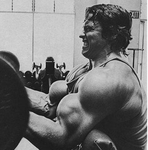 So how did Arnold Schwarzenegger train? How did he build the body that inspired generations? You got a glimpse of how he trained in the ancient movie Pumping Iron: What was always shocking to me was just how much Arnold trained. It is mind-blowing how many hours he put in at the gym each week.  He trained twice a day, six days a week. And all that was devoted strictly to weight training, cardio was not done by bodybuilders of the Arnold era. Arnold Training, Arnold Schwarzenegger Workout, Arnold Workout, Arnold Bodybuilding, Arnold Photos, Biceps Training, Pack A Lunch, Arnold Schwarzenegger Bodybuilding, Schwarzenegger Bodybuilding