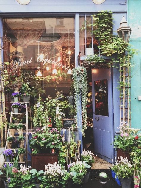 Dream Vibeke Design, Shop Door, Flowers Shop, Florist Shop, Garden Cafe, Album Photos, Shop Fronts, Shop Front, Garden Shop