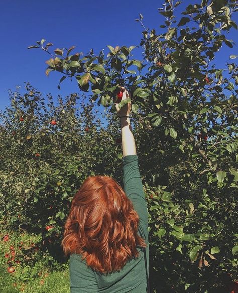 Sunny Red Hair, Orange Red Hair Aesthetic, Copper Hair Color Aesthetic, Copper Hair Character, Ginger Hair Faceless, Amber Hair Aesthetic, Apple Red Hair, Red Hair Color Copper, Red Hair Inspiration Natural