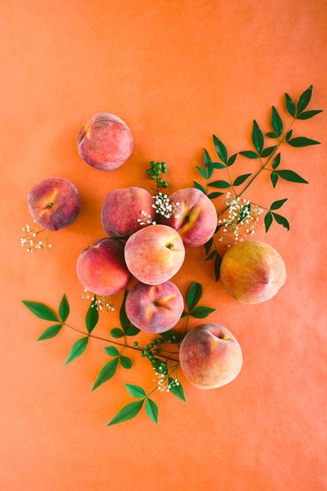 peach food photography photo ideas orange Orange Outfits, Peach Aesthetic, Orange Aesthetic, Peaches N Cream, Basic Grey, Jolie Photo, Vintage Modern, Peaches, Color Inspiration