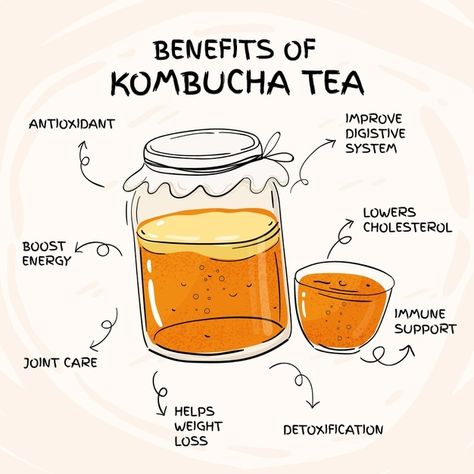 Kombucha Health Benefits, Benefits Of Kombucha, Best Kombucha, Kombucha Recipes, Make Kombucha, Kombucha Benefits, Kombucha Scoby, Kombucha Recipe, Homemade Kombucha