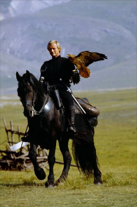 Rutger Hauer as Capt. Etienne Navarre in riding Goliath in'Ladyhawke'. Love him, love the horse, love the movie!! Rutger Hauer, Friesian Horse, Fantasy Films, Fantasy Movies, Black Horse, Great Movies, A Horse, Beautiful Horses, Good Movies