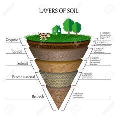 Layers Of Soil Diagram Images Royalty Free Cliparts, Vectors, And Stock Illustration. Image 95715293. Soil Diagram, Layers Of Soil, Basic Geography, Science Diagrams, Soil Science, Earth Science Lessons, Earth Layers, Ias Study Material, Teaching Geography