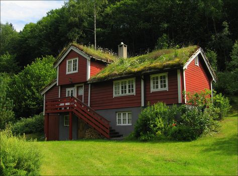 Typical Norwegian House Norwegian House Exterior, Norway Wallpaper, Norwegian Architecture, Norway House, Norwegian House, Grass Roof, Pretty Cottage, Living Roofs, Cabin Style