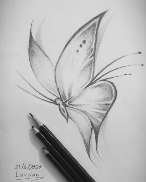 Butterfly Pencil Drawing Easy, Butterfly Art Drawing Sketches, Easy Sketches For Beginners Pencil Simple Drawing, Butterfly Drawing Sketches, Easy Sketch Ideas For Beginners, Butterfly Art Drawing, Beginner Sketches, Butterfly Sketch, Pencil Drawings Of Flowers