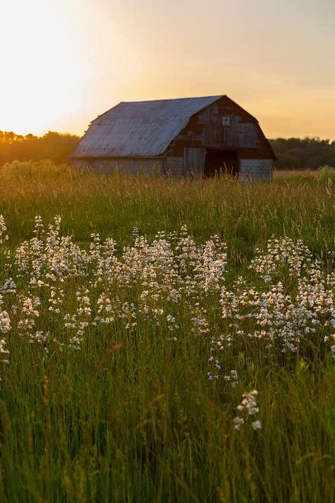 Prairie Aesthetic, Southern Aesthetic, Art Kits For Kids, Country Summer, Marion County, Pretty Landscapes, Old Barns, Old Barn, Art Kits