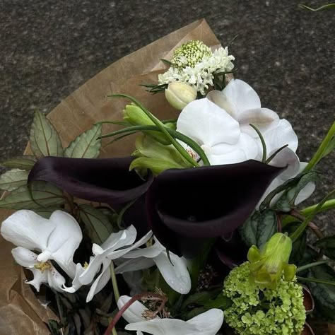 Out Of Stalk on Instagram: "A dance of shadows and light  Black calla lily stands as a muse of elegance, it’s dark velvety petals as a canvas of mystery and sophistication  . . . . . . #sgbridal #sgbridalbouquet #bridalwedding #bridalbouquet #blackcallalilies #fritillaries #whitephalaenopsis" Dark Bouquet, Calla Lillies Bouquet, Moody Wedding Flowers, Calla Lily Centerpieces, Calla Lily Bridal Bouquet, Black Calla Lily, Black Bouquet, Calla Lily Bridal, Shadows And Light