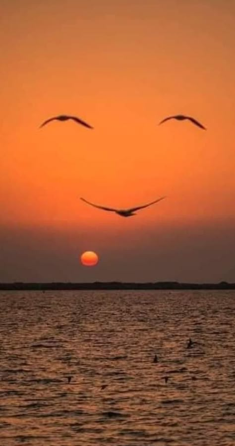 Image Illusion, Hope Is The Thing With Feathers, Don't Worry Be Happy, Beautiful Ocean, Jolie Photo, Beautiful Scenery Nature, Sunset Pictures, Beautiful Nature Pictures, My Photo Gallery