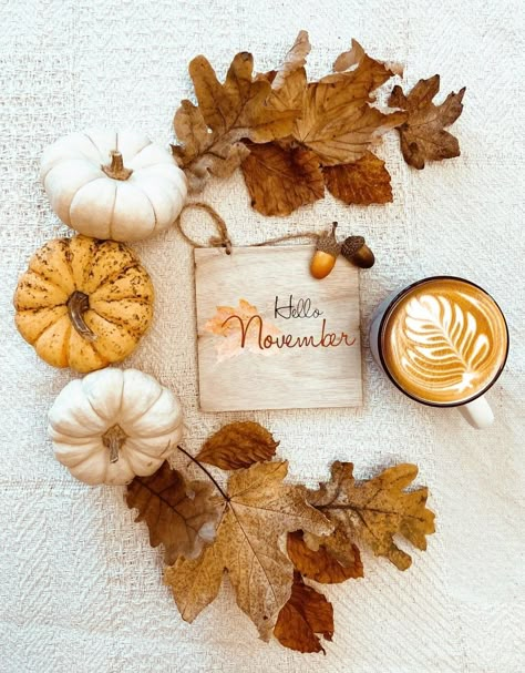 Scentsy November Cover Photo, Cozy Fall Laptop Background, Fall Wallpaper Facebook Cover, Cozy Autumn Aesthetic Wallpaper Laptop, Hello November Images, Autumn Vision Board Wallpaper Laptop, November Aesthetic Cozy, Autumn Aesthetic For Laptop, Fall Cover Photos