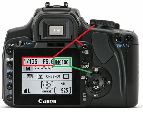 If you’re shooting with all of your camera’s settings on automatic, you’re missing out. Your ISO setting—among others—can drastically improve your shots when used properly. This video guide from TechQuickie explains what you need to know. Iso Setting, Photo Tricks, Iso Settings, One Shot, Photo Tips, Beautiful Things, Canon, Need To Know, Good Things