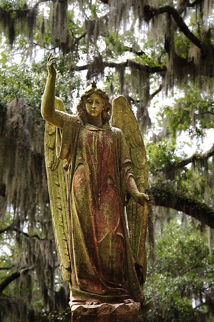 Louisiana Cemetery, Southern Cemetery, Lux Aeterna, Weeping Angels, Bonaventure Cemetery, Cemetery Angels, Cemetery Statues, I Believe In Angels, Angel Statue