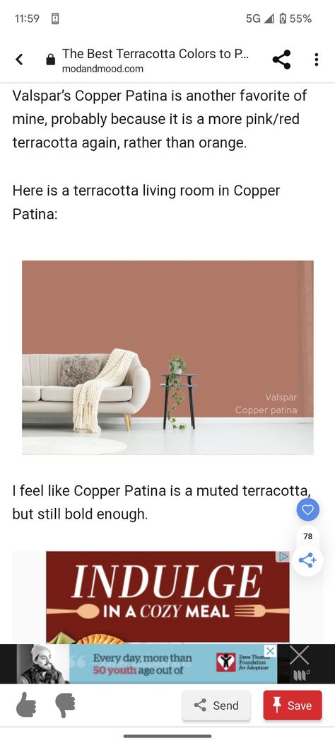 Valspar Copper Patina, Terracotta Living Room, Fox Den, Valspar Paint, Paint Bedroom, Copper Pearl, Cozy Meals, Copper Patina, Hallway