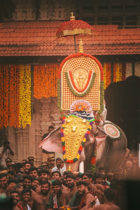 Thrissur pooram 2k19 Kerala Elephant Wallpaper, Thrissur Pooram Photography, Thrissur Aesthetic, Thrissur Photography, Pooram Kerala, Thrissur Pooram, Hindu Statues Goddesses, Elephant Photography, 2022 Wallpaper