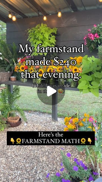 Farm Stand Honor System, Farm Events Ideas, Honor System Farm Stand, No Spending, Honor System, Urban Homesteading, Education Inspiration, Self Serve, Backyard Farming