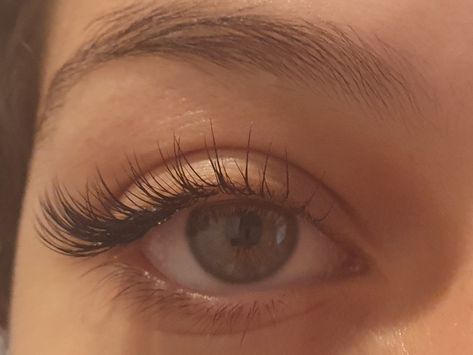 Half Eyelash Extensions, Eyelash Extensions, Eyelashes, Lashes