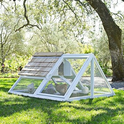 A Frame Chicken Coop, Swing Set Diy, Diy Swing, Clean Chicken, Portable Chicken Coop, Chicken Tractors, Chicken Tractor, Coop Ideas, Coop Design