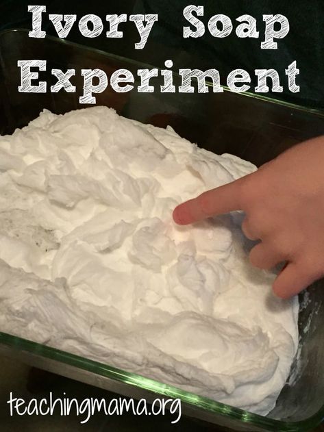 Here's an experiment that will really WOW your child! I've seen this activity around, but we had never tried it, so I figured it was time! Here's what you need: Ivory soap bar (needs to Microwave Ivory Soap, Ivory Soap Experiment, Sandcastle Ideas, Microwave Soap, Soap Experiment, Museum Activities, Ivory Bar Soap, Science Inquiry, Imagination Play