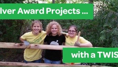 8 Silver Award Projects … with a Twist! Girl Scout Badges Requirements, Cadette Girl Scout Badges, Therapy Garden, Girl Scout Silver Award, Girl Scout Meeting Ideas, Girl Scout Mom, Girl Scouts Cadettes, Local Girl, Girl Scout Badges