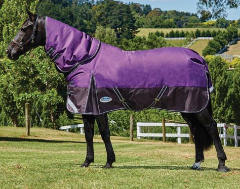 Comfitec Plus Dynamic Medium Detach-a-Neck Horse Blanket Purple/Black - Item # 42292 Purple Horse, Turnout Rug, Fly Boots, Horse Therapy, Leg Straps, Horse Blankets, Saddle Pads, Freedom Of Movement, Rug Sale