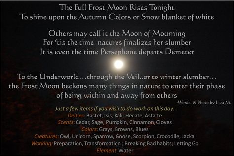 November Full Moon - Frost Moon, Mourning Moon, Beaver Moon.  Some even see November as the end of the Celtic Year.  If you do work on this day; here are just a few tools & items to consider.  There are always more; and your path is your own; so do what you feel is right but this can be a guide if you like. BB! Beaver Moon Ritual, September Full Moon Correspondences, November Magick, Beaver Full Moon Meaning, November Moon, Full Harvest Moon Spells, November Scorpio, November Full Moon, Moon Information