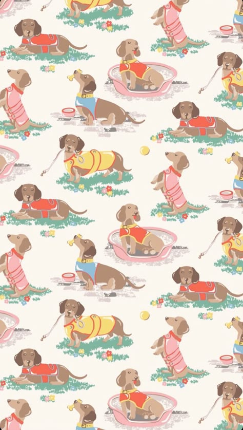 Dachshund Wallpaper, Arte Dachshund, Cottagecore Wallpaper, Dachshund Art, Chic Wallpaper, Phone Wallpaper Patterns, Dog Wallpaper, Photo Wall Collage, Cute Patterns Wallpaper