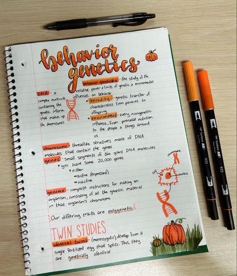 Aesthetic Fall pumpkin notes with orange and psychological content Pretty Notes Psychology, Fall Notes Aesthetic, Aesthetic Psychology Notes, Notes For Psychology, Heredity Notes, Ap Psychology Notes, Psychology Study Notes, Academic Overachiever, Psych Notes