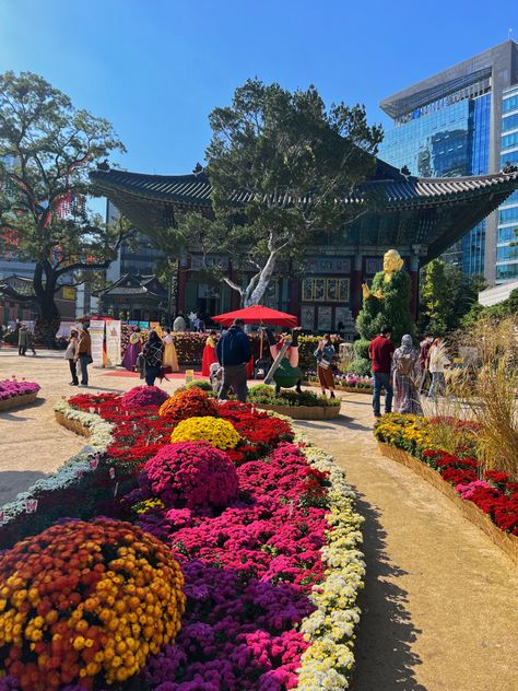 # Jogyesa Temple 조계사 # Jogyesa Temple #조계사 #aesthetically pleasing #photography #aestheitcs #korea travel #south korea #beautiful photos #korea #photoart #photooftheday #instadaily #Seoul #seoul city #Seoul travel Jogyesa Temple, Temple Aesthetic, Travel South Korea, Seoul City, Seoul Travel, Korea Travel, Travel South, Aesthetically Pleasing, South Korea