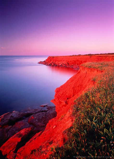 Cavendish Beach, Prince Edward Island National Park, Prince Edward Island, Canada Prince Edward Island National Park, Cavendish Beach, Prince Edward Island Canada, Eastern Canada, Prince Edward, Prince Edward Island, Canada Travel, Beautiful World, Wonders Of The World