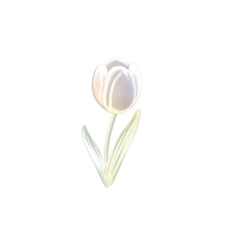 Tulips Icon, Tulip White Wallpaper, Pink Tulip Widget, Flower 3d Icon, White Tulips Aesthetic Header, White Tulips Widget, White Tulips Background, White Tulips Png, 1 Tulip