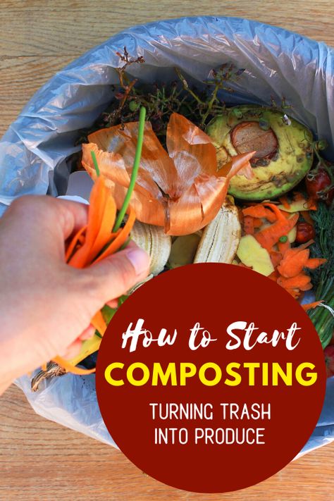 How To Start Composting, Start Composting, Composting 101, Composting Methods, Composting Process, Composting At Home, Worm Composting, Starting A Vegetable Garden, Easy Backyard