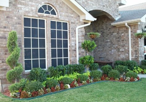 landscaping ideas with sweet potato vine Spiral Juniper Landscape, Spiral Trees Front Porch, Spiral Trees Front Yard, Small Yard Curb Appeal, Edinburgh Landscape, Modern Curb Appeal, Front Porch Planter, Landscaping 101, Curb Appeal Garden